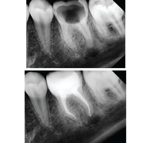 Case-8(dentalsquarebd)